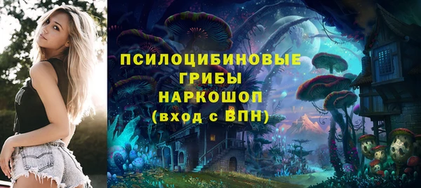 герыч Козловка